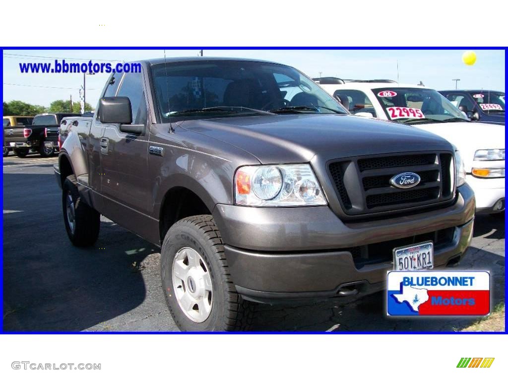 2004 F150 STX Regular Cab 4x4 - Dark Shadow Grey Metallic / Dark Flint photo #11