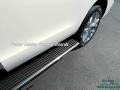 White Platinum Metallic Tri-Coat - Expedition Platinum 4x4 Photo No. 28
