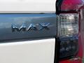 White Platinum Metallic Tri-Coat - Expedition Platinum 4x4 Photo No. 41