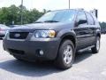 2007 Dark Stone Metallic Ford Escape XLT V6  photo #4