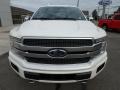 2019 White Platinum Ford F150 Platinum SuperCrew 4x4  photo #2