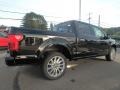 Agate Black - F150 Limited SuperCrew 4x4 Photo No. 5