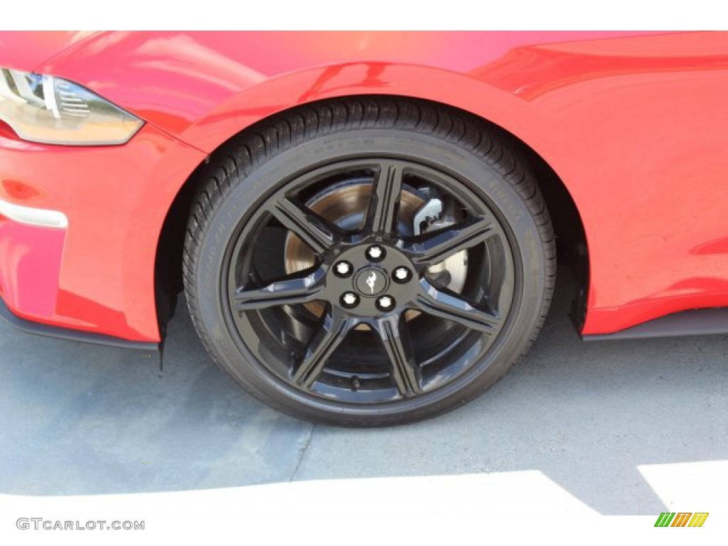 2019 Mustang EcoBoost Fastback - Race Red / Ebony photo #5