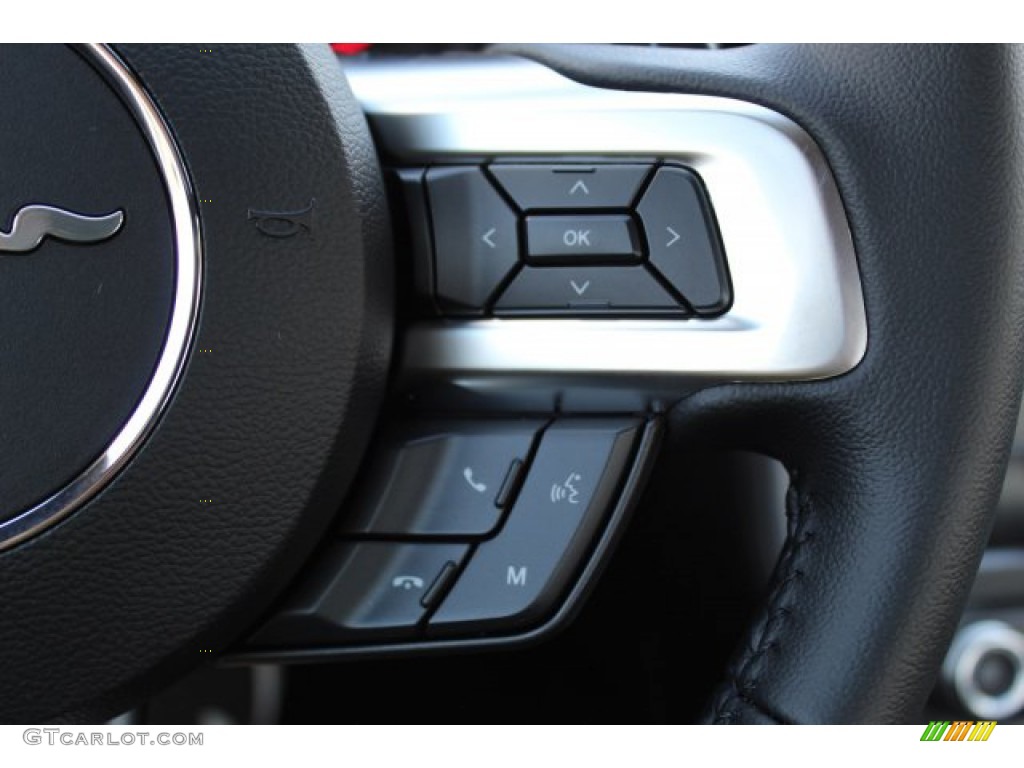 2019 Mustang EcoBoost Fastback - Race Red / Ebony photo #14