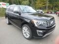 2019 Agate Black Metallic Ford Expedition Limited 4x4  photo #3
