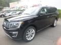 2019 Agate Black Metallic Ford Expedition Limited 4x4  photo #5