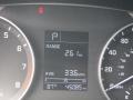 Red - Elantra SE Photo No. 25