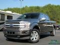 2019 Magnetic Ford F150 Platinum SuperCrew 4x4  photo #1