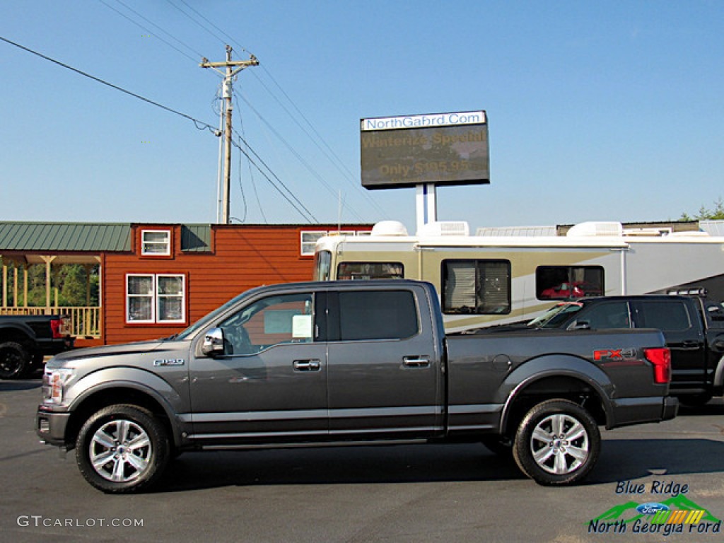 2019 F150 Platinum SuperCrew 4x4 - Magnetic / Black photo #2