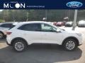 2020 Star White Metallic Tri-Coat Ford Escape SE 4WD  photo #1