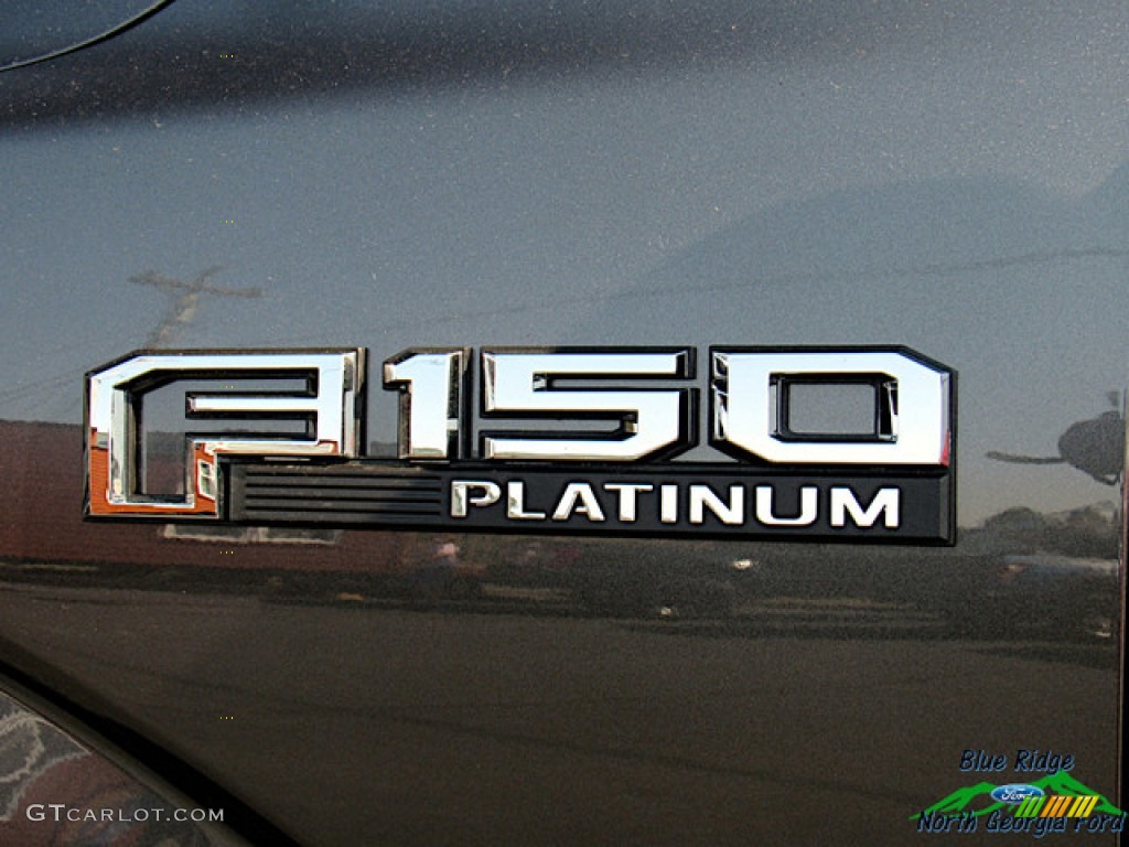 2019 F150 Platinum SuperCrew 4x4 - Magnetic / Black photo #39