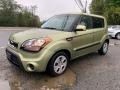 2012 Alien Green Kia Soul 1.6  photo #7