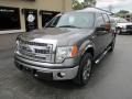 Sterling Gray Metallic - F150 XLT SuperCrew Photo No. 2