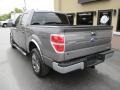 Sterling Gray Metallic - F150 XLT SuperCrew Photo No. 3