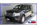 Black - Expedition XLT Photo No. 1