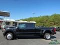 Agate Black - F450 Super Duty Platinum Crew Cab 4x4 Photo No. 2
