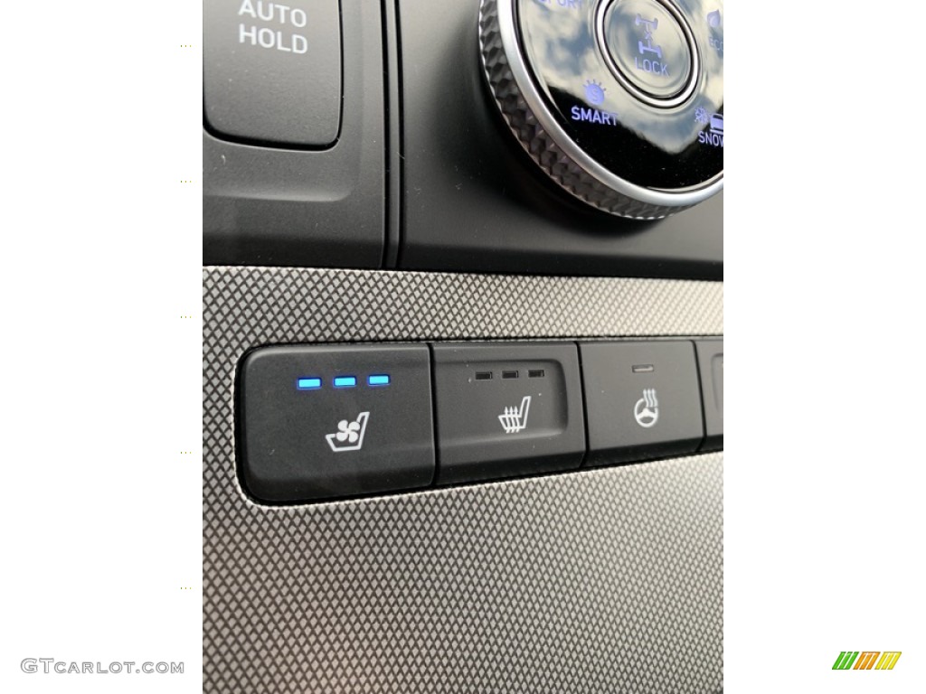 2020 Hyundai Palisade Limited AWD Controls Photo #135485846