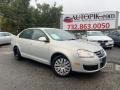 White Gold Metallic 2010 Volkswagen Jetta S Sedan