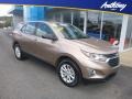 Sandy Ridge Metallic - Equinox LS AWD Photo No. 1