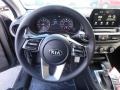 2020 Kia Forte Black Interior Steering Wheel Photo