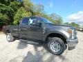 Magnetic - F250 Super Duty XLT SuperCab 4x4 Photo No. 8
