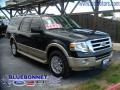 2009 Black Pearl Slate Metallic Ford Expedition EL Eddie Bauer 4x4  photo #23