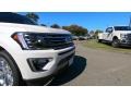 White Platinum Metallic Tri-Coat - Expedition Limited 4x4 Photo No. 28