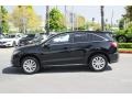 Crystal Black Pearl - RDX  Photo No. 4