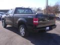 2006 Black Ford F150 STX Regular Cab  photo #3