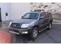 2004 Galactic Gray Mica Toyota 4Runner Limited 4x4  photo #2