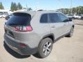 Sting-Gray - Cherokee Limited 4x4 Photo No. 5