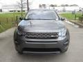 2019 Loire Blue Metallic Land Rover Discovery Sport SE  photo #9