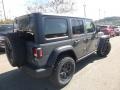 Sting-Gray - Wrangler Unlimited Willys 4x4 Photo No. 5