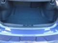 Plum Crazy Pearl - Charger R/T Scat Pack Photo No. 12