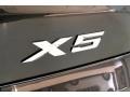 Dark Graphite Metallic - X5 xDrive40i Photo No. 7