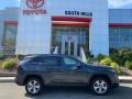 Magnetic Gray Metallic - RAV4 Limited AWD Hybrid Photo No. 3