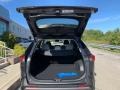 Magnetic Gray Metallic - RAV4 Limited AWD Hybrid Photo No. 9
