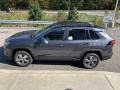Magnetic Gray Metallic - RAV4 Limited AWD Hybrid Photo No. 11