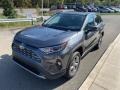 Magnetic Gray Metallic - RAV4 Limited AWD Hybrid Photo No. 14
