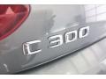 Selenite Grey Metallic - C 300 Coupe Photo No. 27