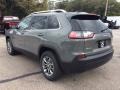 Sting-Gray - Cherokee Latitude Plus 4x4 Photo No. 7