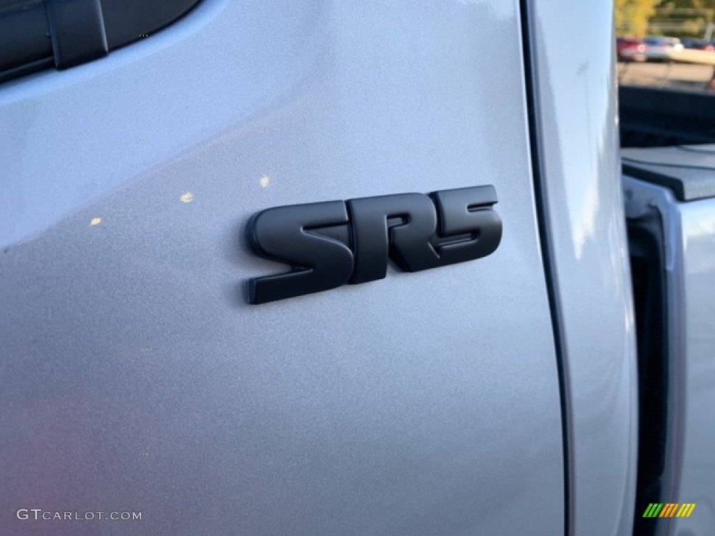 2020 Tacoma SR5 Double Cab 4x4 - Silver Sky Metallic / Black photo #3