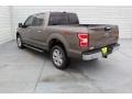 2019 Stone Gray Ford F150 XLT SuperCrew 4x4  photo #6