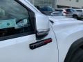 2020 Toyota Tacoma TRD Pro Double Cab 4x4 Badge and Logo Photo