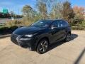 Caviar - NX 300 AWD Photo No. 1