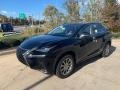 Caviar - NX 300 AWD Photo No. 1