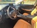 Caviar - NX 300 AWD Photo No. 2