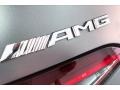 designo Selenite Grey Magno (Matte) - AMG GT 53 Photo No. 27