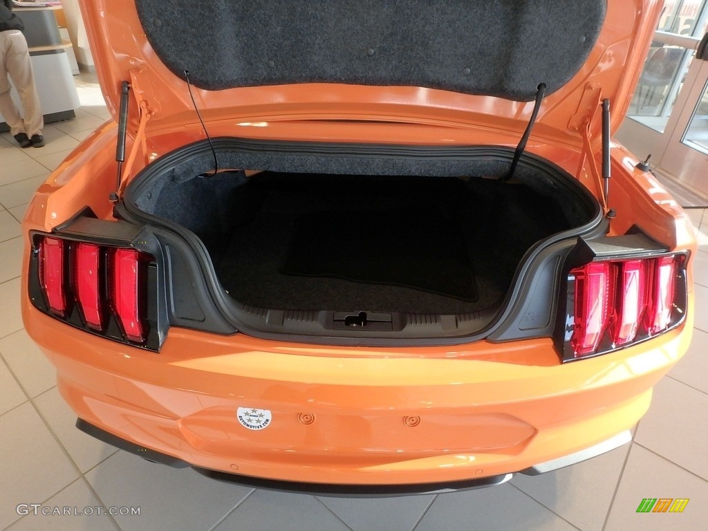 2020 Ford Mustang EcoBoost High Performance Package Convertible Trunk Photo #135700137