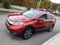 Molten Lava Pearl - CR-V EX AWD Photo No. 6